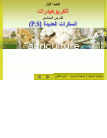 م 6 (1).pdf